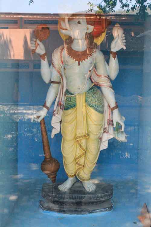 3rd Avatar of Lord Vishnu - Varaah (Boar)