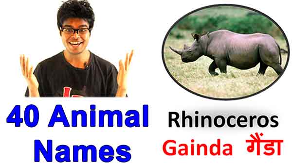 40 Animals Name in Hindi and English with Pictures (+Video+Free Ebook)